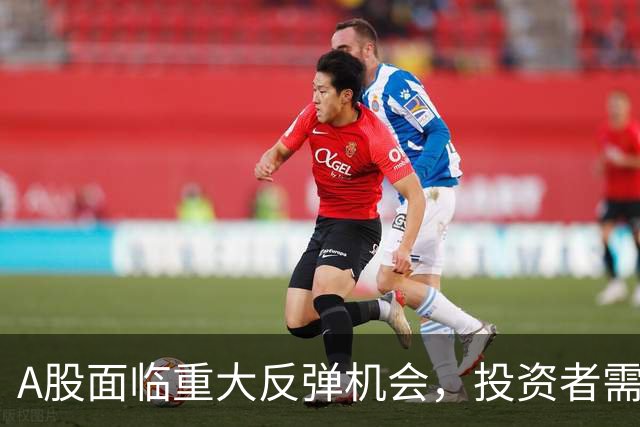A股面临重大反弹机会，投资者需提前准备